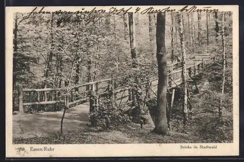 AK Essen /Ruhr, Brücke im Stadtwald