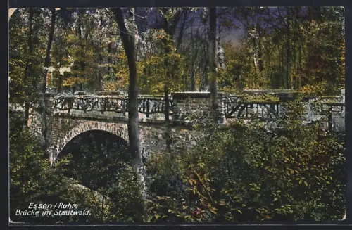 AK Essen /Ruhr, Brücke im Stadtwald