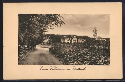 AK Essen / Ruhr, Villenpartie am Stadtwald