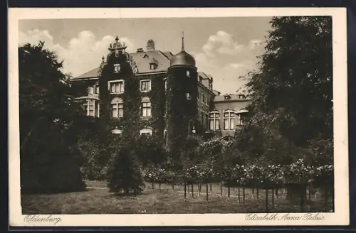 AK Oldenburg / O., Blick auf das Elisabeth-Anna-Palais