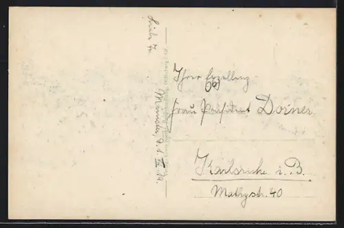 AK Oldenburg i. Gr., Grünanlage am Elisabeth-Anna-Palais