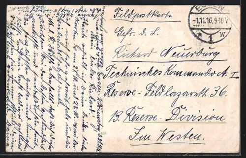 AK Essen / Ruhr, Stadwald, Partie am Waldesrand