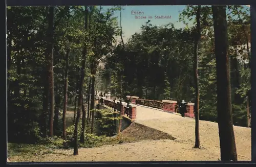 AK Essen / Ruhr, Brücke im Stadtwald