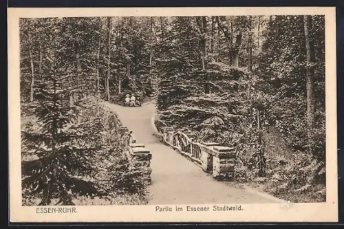AK Essen /Ruhr, Partie im Essener Stadwald