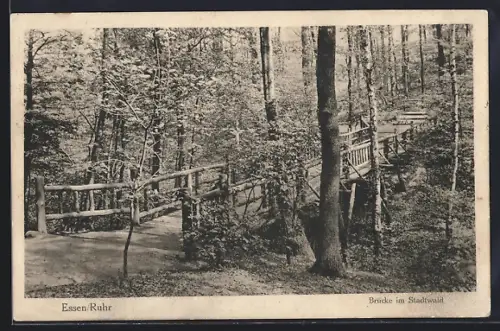 AK Essen /Ruhr, Brücke im Stadtwald