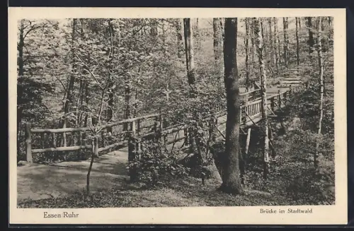 AK Essen /Ruhr, Brücke im Stadtwald