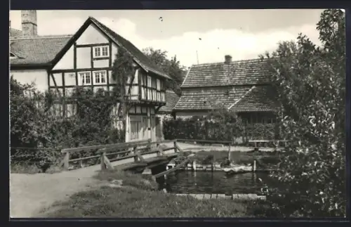 AK Lychen /U.-M., Malerwinkel am Oberpfuhlsee