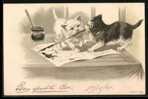 AK Süsse Katzen spielen mit einem Federhalter