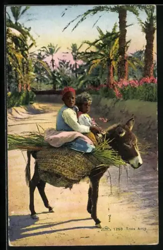 AK Zwei Kinder reiten auf einem vollbeladenen Maultier
