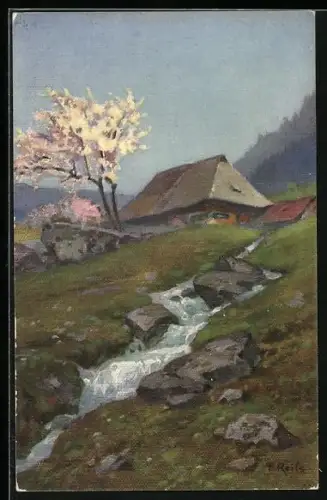 Künstler-AK Fritz Reiss: Frühling im Schwarzwald - Haus mit Bach und blühendem Baum