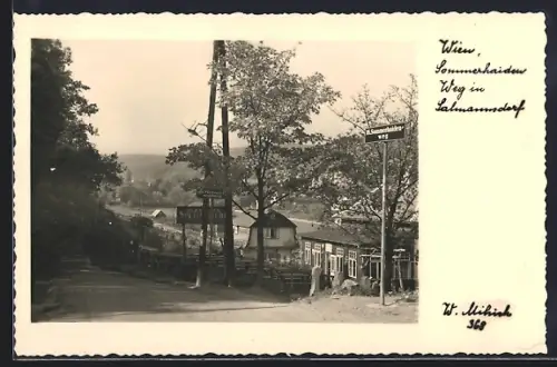 AK Wien, Salmannsdorf, Sommerhaidenweg