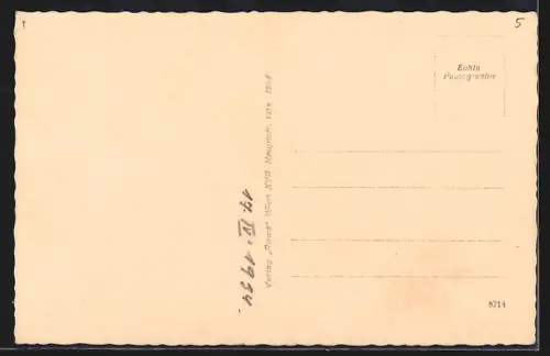 AK Wien, Dreimarkstein, Kaffee Restaurant Häuserl am Roan J. Bodenstein, Weidlingbach 58, Ansicht m. Umgebung, Turm