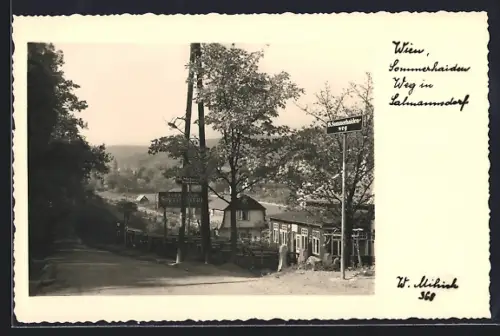 AK Wien, Salmannsdorf, Sommerhaidenweg
