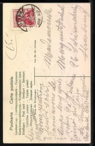 Stoff-Präge-AK Paar in Appenzeller Trachten vor Berglandschaft