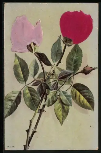 Stoff-Präge-AK Rote und Rosa Rose im Verbund