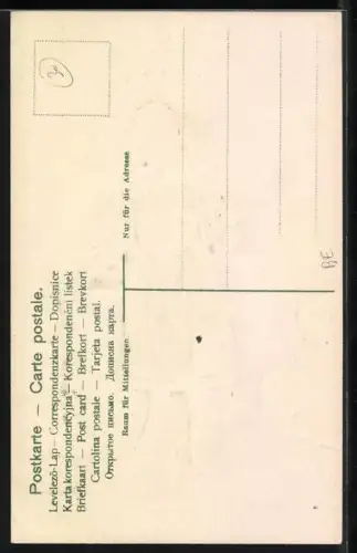 AK Serie: Schweizer Trachten, Mädchen in Berner Tracht