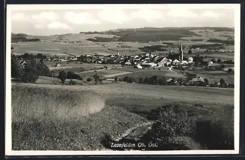 AK Leonfelden, Generalansicht der Ortschaft