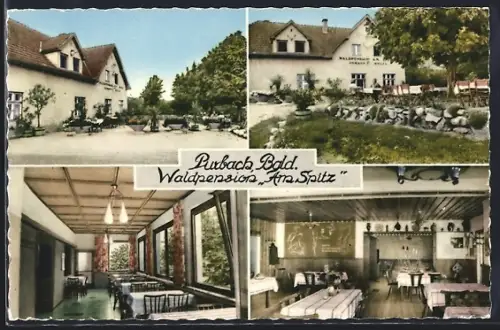 AK Purbach /Bgld., Waldpension Am Spitz