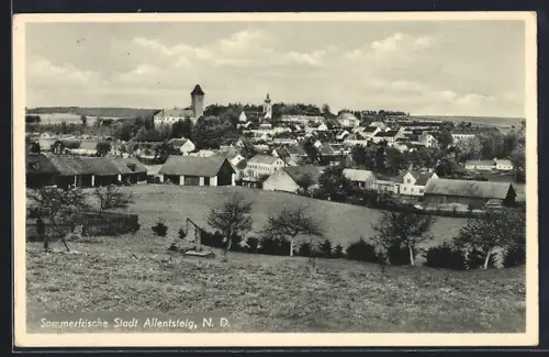 AK Allentsteig /N.-D., Ortsansicht vom Hügel aus