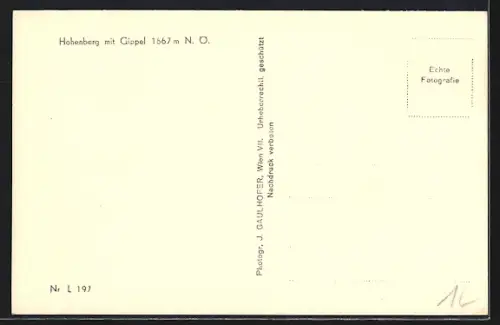 AK Hohenberg /N. Ö., Ortsansicht mit Gippel