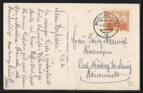 AK Mürzzuschlag, Blick über die Dächer zur Schneealpe