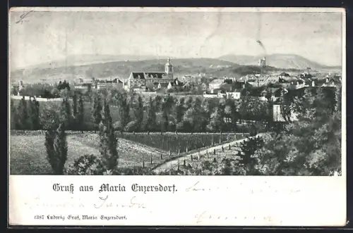 AK Maria Enzersdorf, Ortspartie mit Kirche