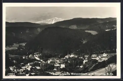 AK Weissenbach a. d. Triesting, Ortsansicht aus der Vogelschau