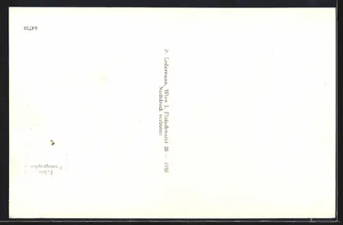 AK Weissenbach a. d. Triesting, Ortsansicht aus der Vogelschau