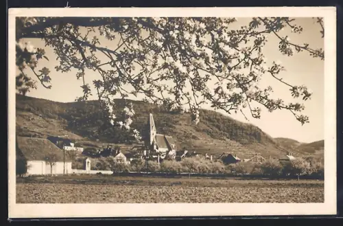 AK Weissenkirchen /Wachau, Ortsansicht aus der Vogelschau