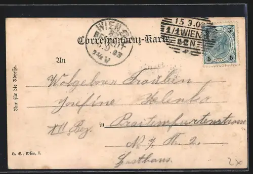 AK Wien, Partie am Raimundtheater