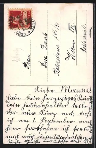AK Schaffhausen, Munot und Hotel Schiff