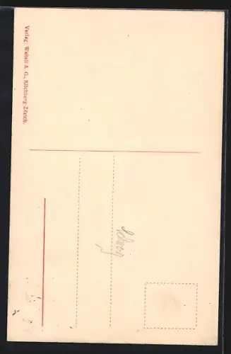 AK Rapperswil, Partie vor dem Schloss