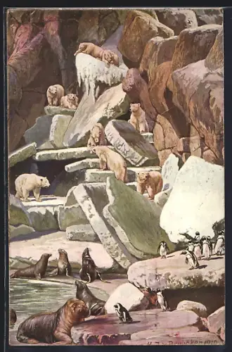 Künstler-AK Hamburg, Stellingen, Carl Hagenbeck`s Tierpark, Walrosse, Seelöwen, Eisbären und Brillen-Pinguine