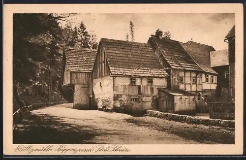 AK Krippengrund /Sächs. Schweiz, Partie an der Rölligmühle