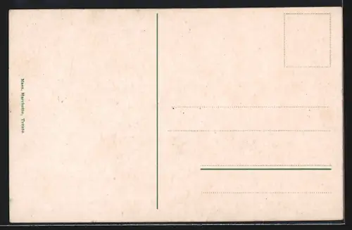 AK Predazzo, Veduta generale