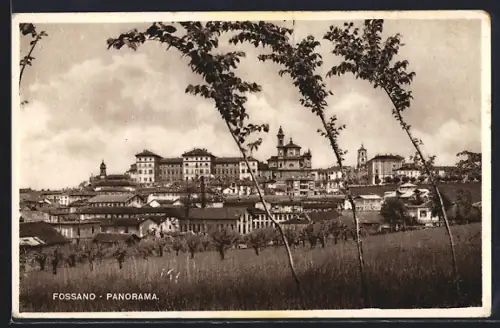 AK Fossano, Panorama