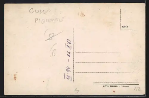 AK Savigliano, Panorama