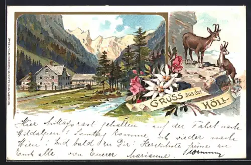 Lithographie Schladming, Gruss aus der Höll, Gemsen