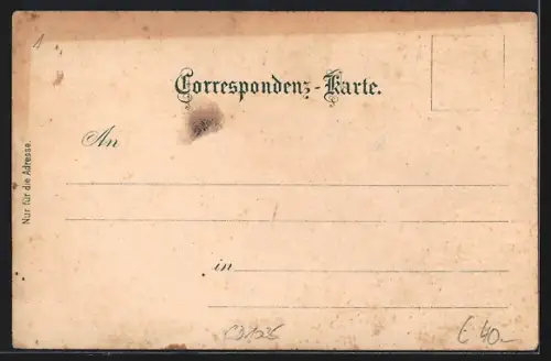 Lithographie Thörl /Stmk., Buchberg, Hotel zum Bodenbauer A. Karlon, Pyramide auf dem Hochschwab, Bergpanorama