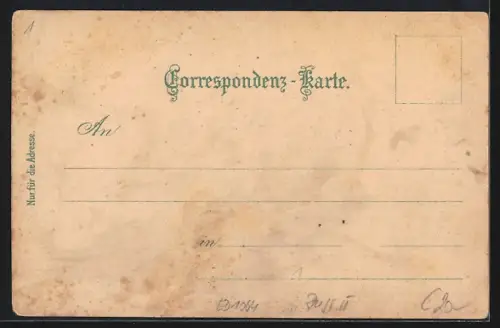 Lithographie Aflenz /Steiermark, Hotel in der Fölz, Handlung Josef Schmidt, Ortsansicht