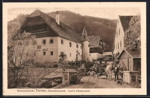 AK Turnau /Obersteiermark, Loris Zwanzenhof, Pferdekutsche