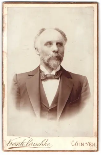 Fotografie Bernh. Brischke, Cöln a. Rh., Heinrich Schwarz mit Fliege