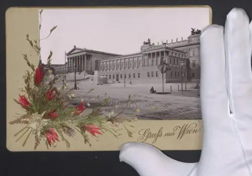 Fotografie Josef Safra, Wien, Ansicht Wien, Blick auf das Parlament, mit Trockenblumen