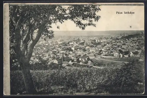 AK Pécs, Pecs latkape