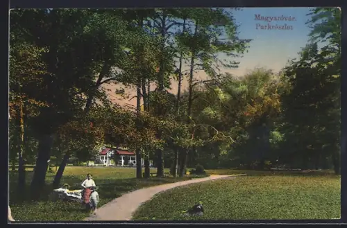AK Magyaróvár, Parkreszlet