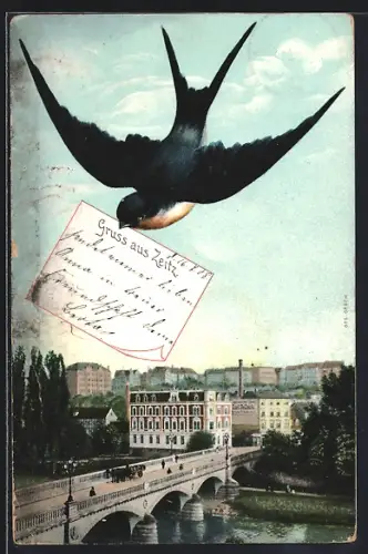 AK Zeitz, Uferpartie mit Brücke und Schwalbe