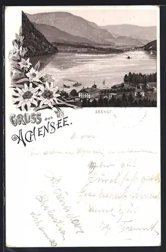 Lithographie Achensee, Seehof mit Seepartie und Bergpanorama aus der Vogelschau, Edelweiss