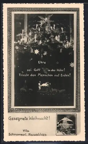 AK Neuwaldegg, Villa Schwammerl im Winter, Weihnachtsbaum mit Krippe, Rahmen, Weihanchtsgruss