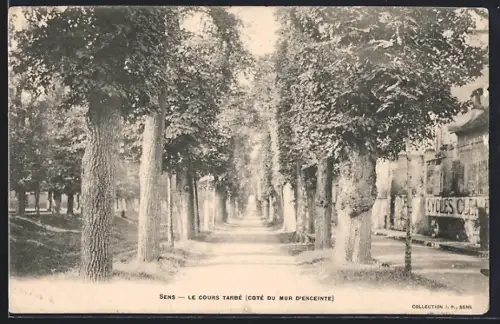 AK Sens, Le Cours Tarbé, côté du mur d`enceinte