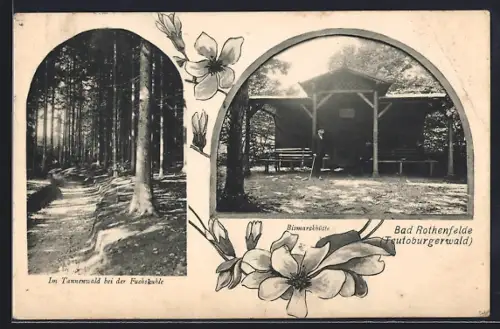 AK Bad Rothenfelde /Teutoburger Wald, Bismarkhütte mit Wanderer, Tannenwald bei der Fuchskuhle, Blumen